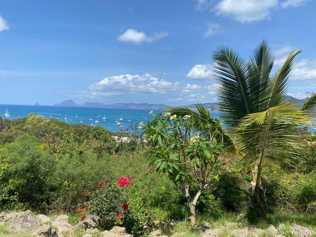 Superbe Appartement Vue Sur Mer Sainte-Anne Ngoại thất bức ảnh